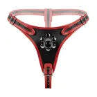 Fetish Collection trigubi strap-on diržai — Nuotrauka 2