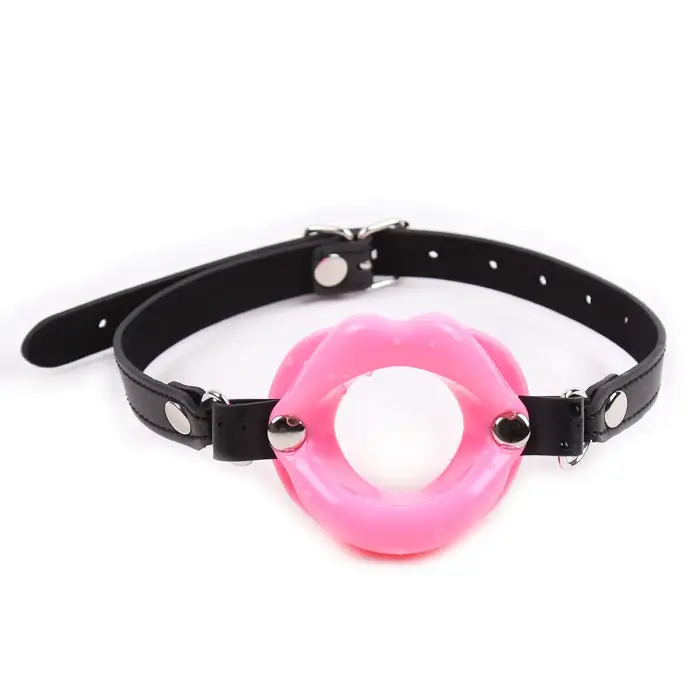 Pink Panel Mouth Gag