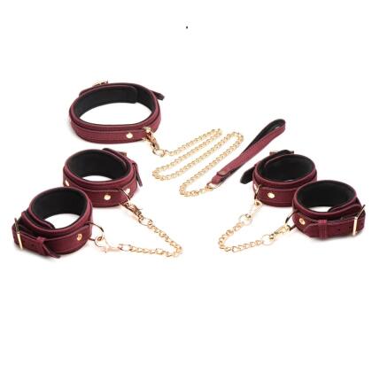 Pavadas un kaklasiksnas