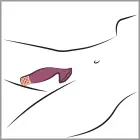 Pillow Talk Secrets Passion novietojamais vibrators – 13.2 cm (5.2″) – violets Foto 7