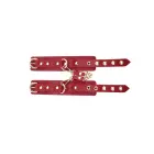 BDSM Deluxe 5 Item Kit - Red Фото num