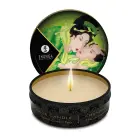 Shunga Garden of Edo Intimate Care Kit — Photo 6