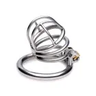 The Pen Deluxe – Lockable Chastity Cage — Photo 3