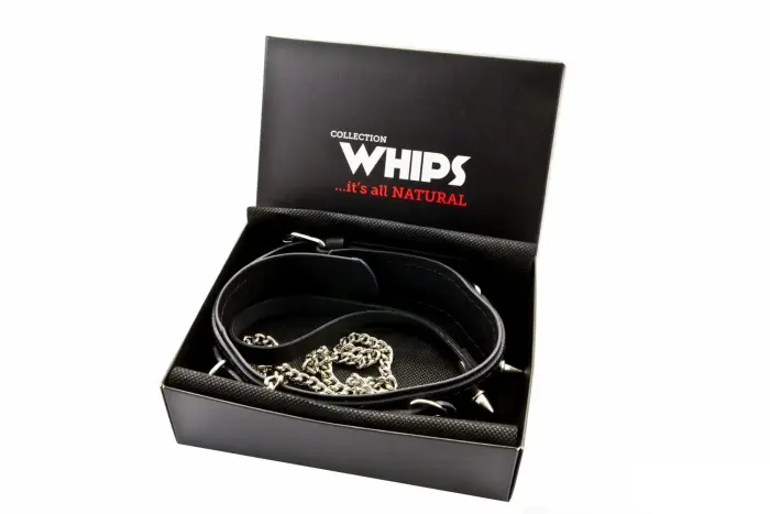 WHIPS кожаный ошейник с шипами и поводком – чёрный
