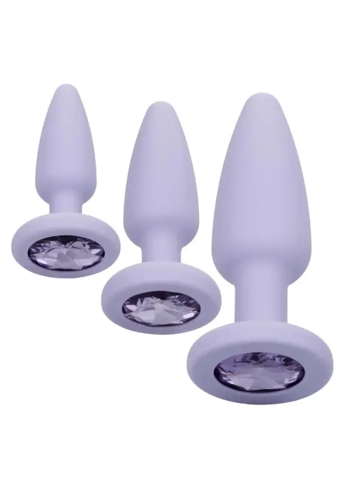 Iesācēju anālās apmācības komplekts – 3 progresīvi anālie spraudņi – Violets