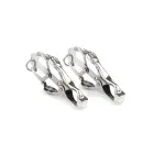 Mr. Steel Squeezer Nipple Clamps with Ring – Silver — Photo 1