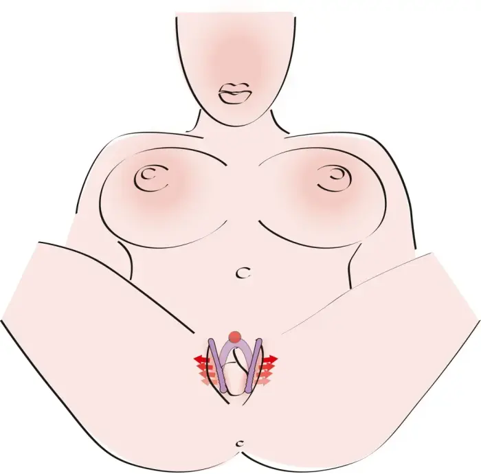 Intimate Spreader Lila Foto 9