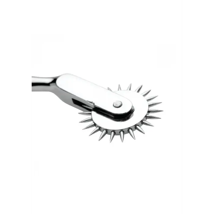 Wartenburg - Pleasure Wheel Photo