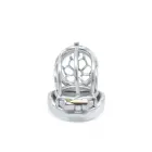 Cruve Torture Chastity Device — Photo 6