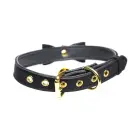 Golden Kitty kačiuko antkaklis su varpeliu – juodas/auksinis — Nuotrauka 3