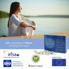 500 Cosmetics Zen Pills натуральные капсулы для поддержания настроения пищевая добавка – 30 шт. — Фото 2