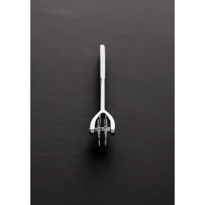 Double Pin Wheel Photo