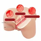CRAZY BULL Julia XXL Double Entry Vibrating Masturbator – Skin — Photo 4