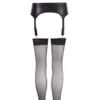 Cottelli LINGERIE – wetlook zeķjosla ar regulējamiem lencēm – melns – izmērs XL — Foto 8