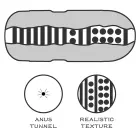 Sex In A Can – Päraku Lotus Tunnel masturbaator, CyberSkin – 16 cm — Foto 4