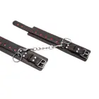 Heart Ankle Cuffs Photo