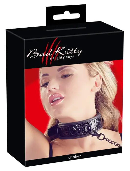 Stylish Padded Collar with Leash – Black