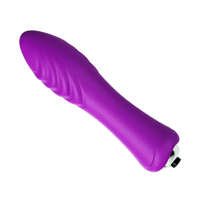 Bullet Vibrator – 13 cm (5.1″) – Purple Photo