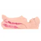 Kokos Victoria – realistic double-channel TPE masturbator – 1.2 kg — Photo 4