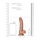 Išlenktas realistiškas dildo su sėklidėmis ir siurbtuku – 15.5 cm (6″) – Kūno spalva Photo