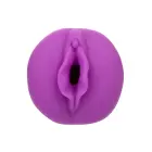 ANIME Stroker Roxy masturbators – violets — Foto 6