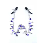 Fetish B sērijas ekskluzīvas krūšu galu skavas Nr.2 ar ķēdīti un zvaniņiem Foto 2