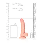 Išlenktas realistiškas dildo su sėklidėmis ir siurbtuku – 15.5 cm (6″) – Kūno spalva Photo