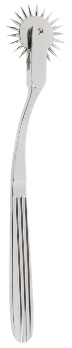 Single Pinwheel Silver Photo