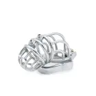 Cruve Torture Chastity Device — Photo 3