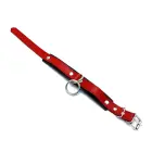 Black & Red Leather Collar with Big O-Ring — Photo 2