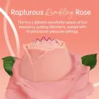 Skins Rose Buddies The Rose Purrz – roosivibraator – roosa – 10 kiirust — Foto 3