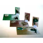 Stupromilowy Las Party Board Game – Humorous Absurd Challenge Edition — Photo 3