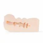 Amelia Harper Intimate Sleeve TPR анатомическая модель – 13 cm – Телесный — Фото 5