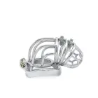 Cruve Torture Chastity Device — Photo 8