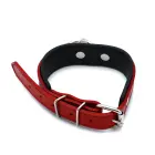 Black & Red Leather Collar with Big O-Ring — Photo 4