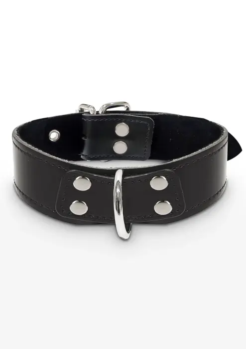 TABOOM Elegant D-Ring Collar – Black