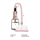 Pussy Pump - Rose Gold Photo