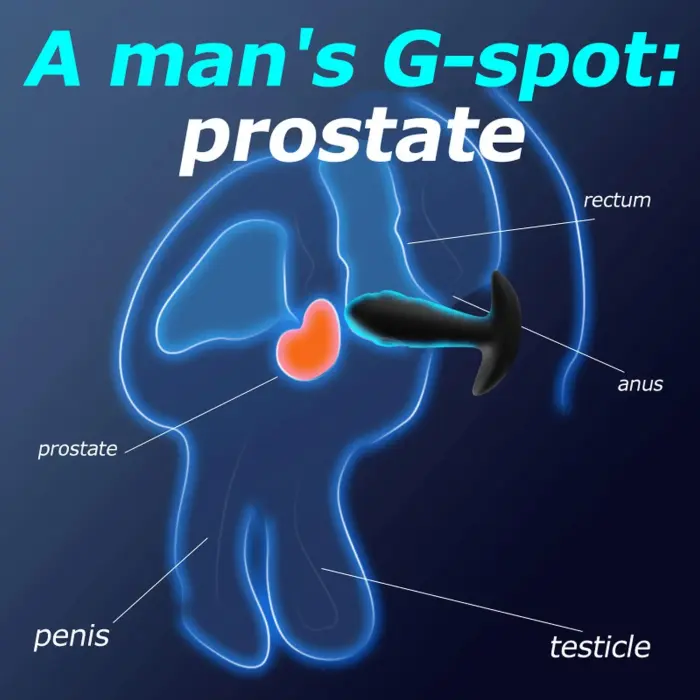 Dual Tapping vibruojantis analinis kištukas – USB įkrovimas Photo