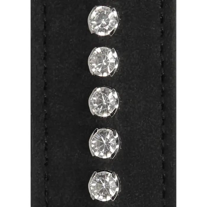 Diamond Studded Hogtie Foto 5