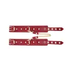 BDSM Deluxe 5 Item Kit - Red Фото num