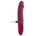 beau cœur Varelo Reālistisks penisa vibrators – 23 cm (9″) – sarkans — Foto 8