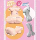 Seiraku Toys Ultimate Aska Mai Torso Peach – Dual Channel Anatomical Model 12kg — Photo 6