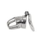 Cock Tube Cage Chastity — Photo 2