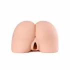 Seiraku Toys The Three Ages masturbators – 17.5 cm (6.9″) — Foto 10
