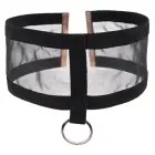 Sportsheets Sex & Mischief Sheer Day Collar, adjustable – black/gold — Photo 1