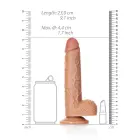 Taisns reālistisks dildo ar sēkliniekiem un piesūcekni – 20.5 cm (8″) — Foto 5