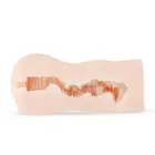Emily Finch Masturbator - Vaginal Masturbator – Skin — Photo 4