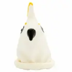 CONDOMERIE hand-painted decorative condom – White Parrot — Photo 5