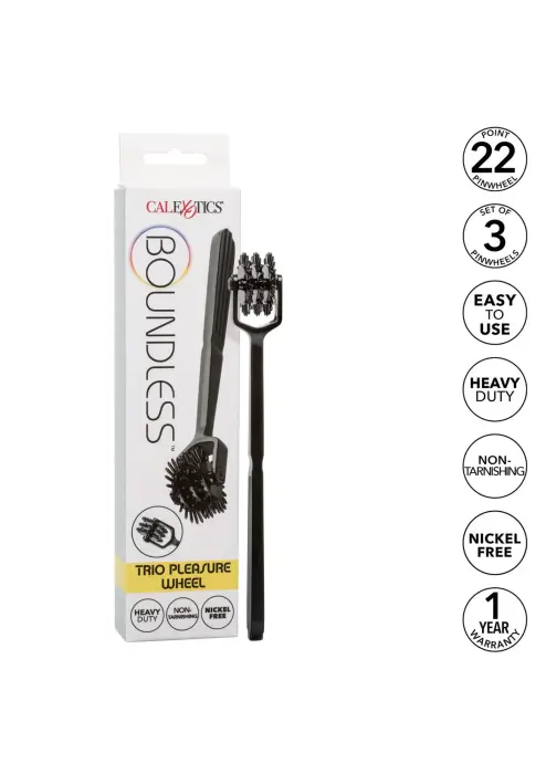 Boundless Trio Pleasure Wheel Photo