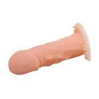 BAILE - Vilkča zoba uzmava Foto 4